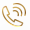 Phone icon